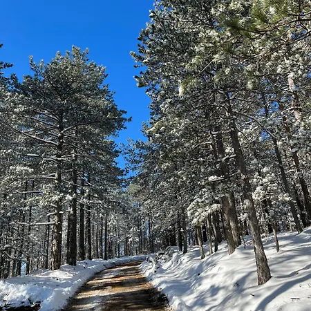 Апартаменты Borovi 15 *