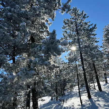 Borovi 15 Апартаменты *