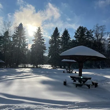 Borovi 15 Апартаменты *