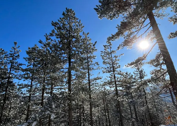 Borovi 15 * Divčibare