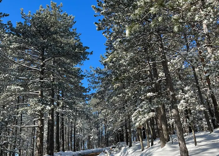 Appartement Borovi 15 *