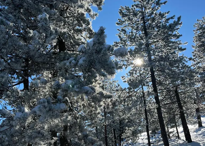 Borovi 15 Appartement *